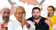 Bihar elections: How Muslim voters shaped results in the last three polls