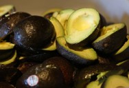 Gobierno establece acciones para garantizar exportación sustentable de aguacate