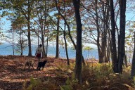 People are flocking to a new hiking trail on Sears Island