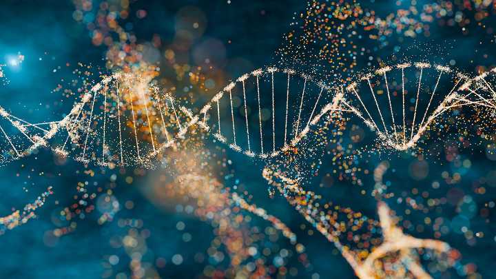 ADA-SCID Gene Therapy: Children Remain Cured After 10+ Years 
