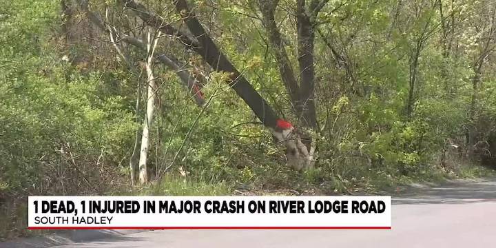 Chicopee man pleads guilty to 2023 deadly crash