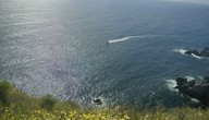Sin resultados positivos continúa la búsqueda de mariscador desaparecido en sector Los Ventisqueros de Playa Ancha en Valparaíso