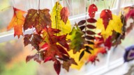 How To Preserve The Color Of Your Dried Fall Leaves For Decor That Really Pops