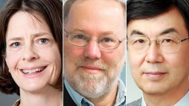 Otorgan el Nobel de Medicina a tres investigadores de la ciencia del sistema inmune