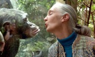Murió a los 91 años Jane Goodall, "la mujer de los chimpancés"