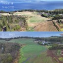 Deadspin | Kapalua's Plantation Course opening, but not in condition to host The Sentry