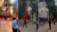 Fire at Chhatbir Zoo: Dozen e-rickshaws at charging station gutted