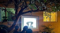 Morelia albergará la Muestra de Cine de Terror, Ciencia Ficción y Fantástico