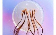 Lo que tu cabello puede decirte sobre tu salud