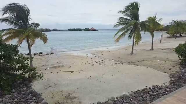 Everett resident stranded in Jamaica as Hurricane Melissa nears