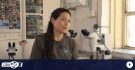 Conexiones: científicos cordobeses en el mar — estreno del documental del SRT‑UNC