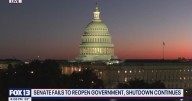Finger-pointing continues as Senate vote fails to end government shutdown