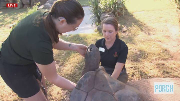 Celebrating Tulsa's animal doctors with National Veterinary Technician Week