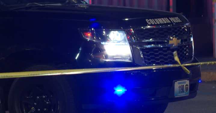 Prosecutor reviewing weapon offenses from downtown Columbia