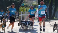 Corridas perrunas 2025: Todo lo que debes saber sobre los dos eventos en la región Metropolitana