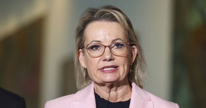 Federal politics: Sussan Ley's leadership under fire after front bench MP calls it quits