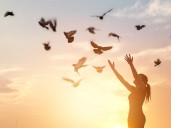 Birding Alberta: 50 species spotted in Lethbridge hotspots