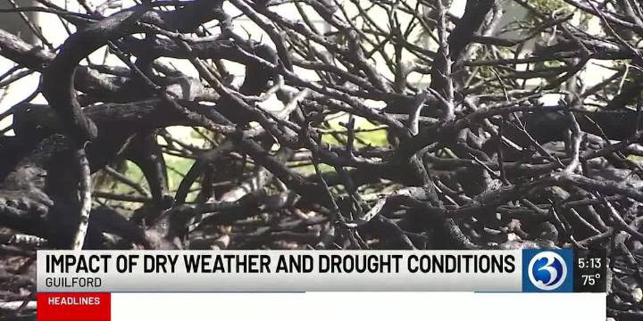 Abnormally dry conditions stress fire departments and homeowners across New Haven County