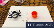 ‘Horrifying’: Consumer Protection WA’s warning over Halloween toys