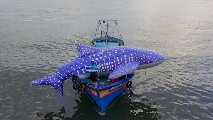 Life-size whale shark tours Kollam as part of WTI’s awareness drive