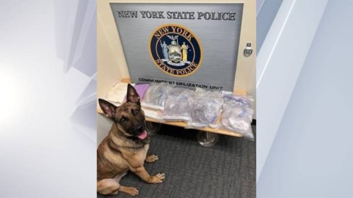 NYSP K9 finds 18 pounds of drugs in Saratoga traffic stop