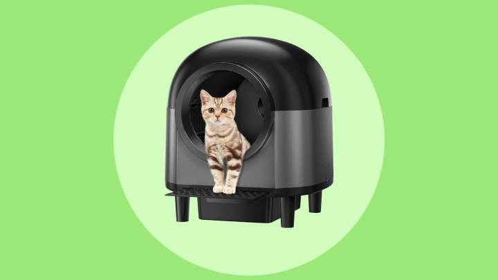 This self-cleaning litter box is now 58% off during Walmart Deals