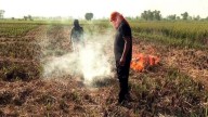 ‘AAP forcing farmers to burn stubble in Punjab’: Delhi minister Manjinder Sirsa on AQI spike in national capital