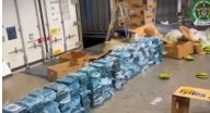 Incautan 225 kilos de cocaína en cargamentos de banano en Santa Marta Según informaron las autoridades, la droga tenía como destino Inglaterra.