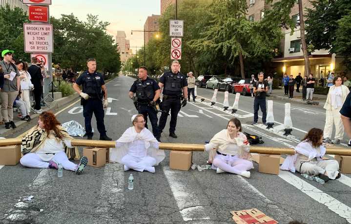 Gaza war protesters block Brooklyn Bridge