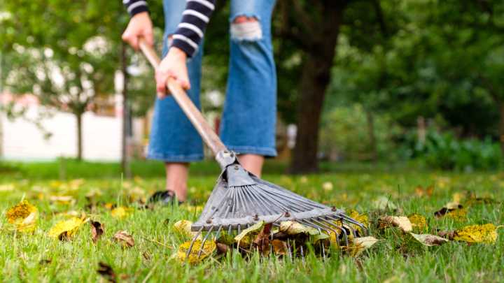 You've Been Using The Wrong Rake, And It Shows In Your Garden