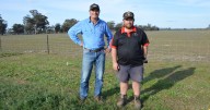 In-paddock trials lead to pasture options for central west farmer