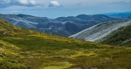 Hikers make horror discovery as two women found dead in beauty spot