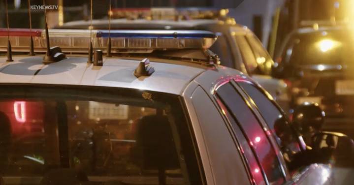 Suspect in custody after South LA drug bust