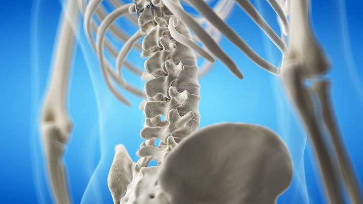 Sex-Based Differences Affect S2-Alar-Iliac Screw Placement in Spinal Deformity Surgery