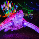 Tickets available now for return of Phoenix ZooLights, featuring new virtual reality experience