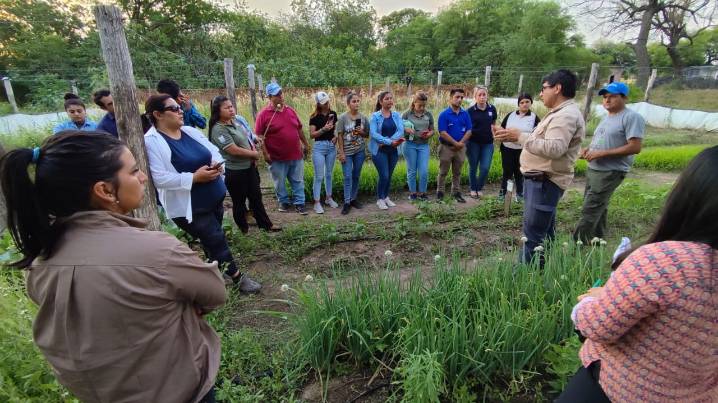 Se realizó una jornada de capacitación en horticultura en Las Lomitas