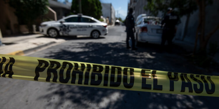¡Impactante descubrimiento en Jalisco: 48 bolsas con restos humanos halladas en una siniestra fosa clandestina!