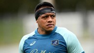 Wallabies coach weighs up pros and cons of rebel comp