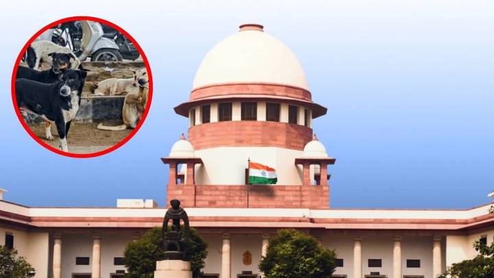 SC Refuses Virtual Appearance for Chief Secretaries in Stray Dogs Case India News
