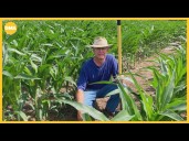 Argentina bailout sparks concern among US farmers