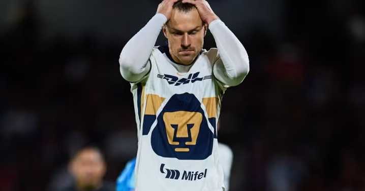 Aaron Ramsey ofrece recompensa de 10,000 dólares por perrita Halo