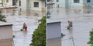 Muere ‘Doña Elodia’, adulta mayor que se viralizó abrazada a su esposo en la inundación de Poza Rica