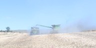 Despite increase in farm bankruptcies nationwide, North Dakota is bucking the trend