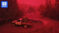 NSW government reduces cost of registering old farm utes and trucks used to fight fires