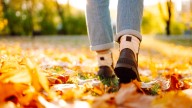 14 Toxic Fruits & Nuts To Look Out For Along With Falling Leaves In The Fall