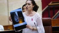 El caso de Anabel: la mamografía que llegó al Parlamento de Andalucía para mostrar cómo "desaparece" la información del SAS