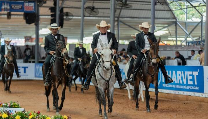¿Quiénes fueron los ganadores de la segunda jornada de la Mundial de Caballos de paso?