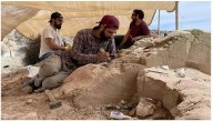 El nuevo streaming del Conicet en busca de una nueva especie de dinosario: cuándo empieza y dónde verlo