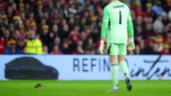 Cat, snake… no it is a rat: Rodent invader temporarily halts World Cup qualifying game between Belgium and Wales