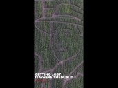 Dixon’s 40-acre corn maze reopens at Cool Patch Pumpkins with farmer tribute design